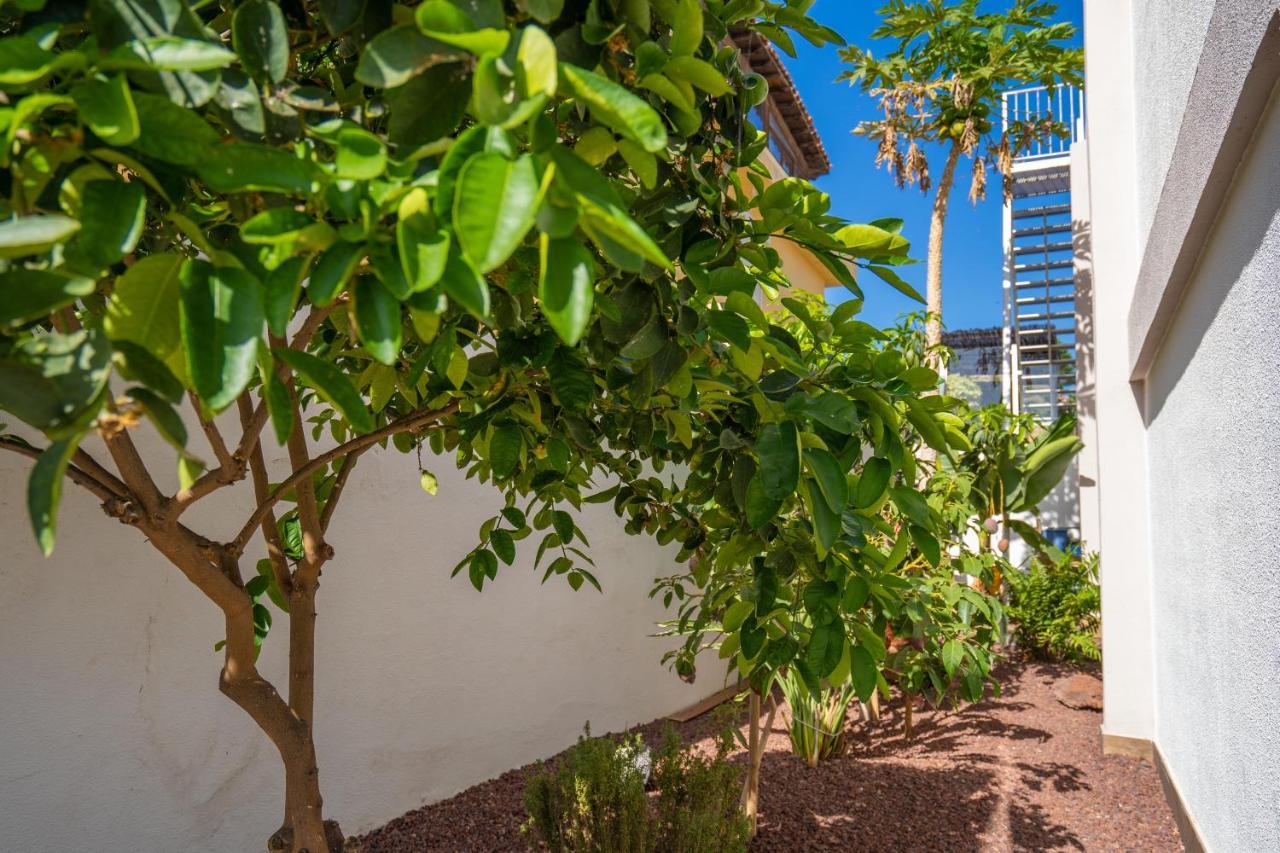 Villa La Laja With 5 Bedrooms And Sea View Callao Salvaje Exterior foto
